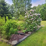 Hébergement de vacances Dom W Gorach Sowich Niedzwiedzia Gawra, Michalkowa