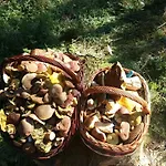 Dom W Gorach Sowich Niedzwiedzia Gawra, Michalkowa