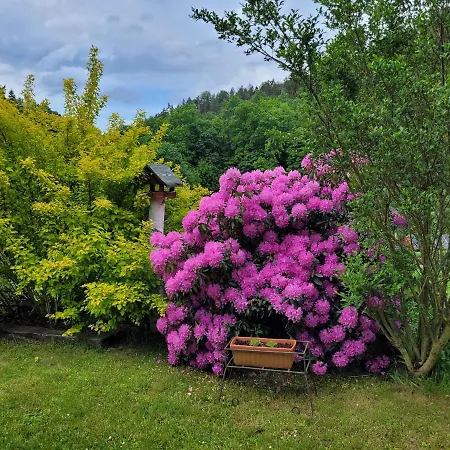 Dom W Górach Sowich Niedźwiedzia Gawra, Michałkowa Casa de Férias *