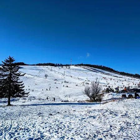 Nyaraló Dom W Gorach Sowich Niedzwiedzia Gawra, *