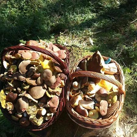 Dom W Gorach Sowich Niedzwiedzia Gawra, Michalkowa