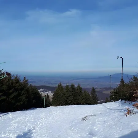 Dom W Górach Sowich Niedźwiedzia Gawra, Michałkowa Casa de Férias *