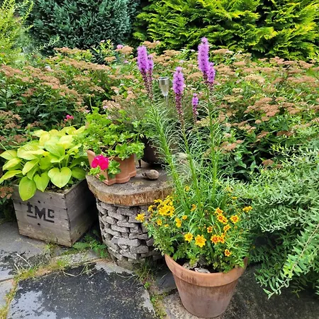 Casa de Férias Dom W Górach Sowich Niedźwiedzia Gawra, Michałkowa Michalkowa