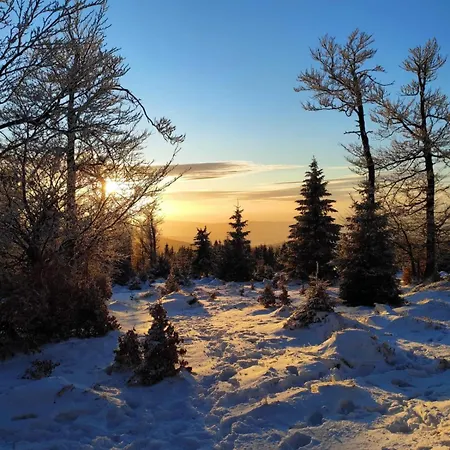 Dom W Górach Sowich Niedźwiedzia Gawra, Michałkowa Casa de Férias *