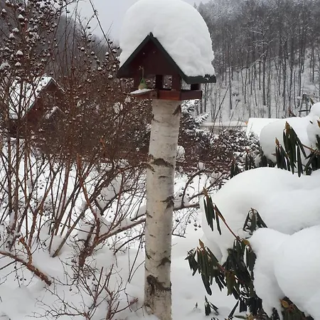 Dom W Gorach Sowich Niedzwiedzia Gawra,