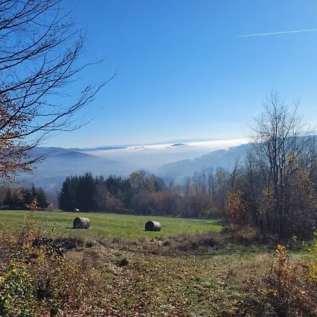 Vakantiehuis Dom W Gorach Sowich Niedzwiedzia Gawra,