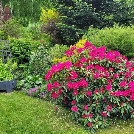 Dom W Gorach Sowich Niedzwiedzia Gawra, Prázdninový dům Michalkowa