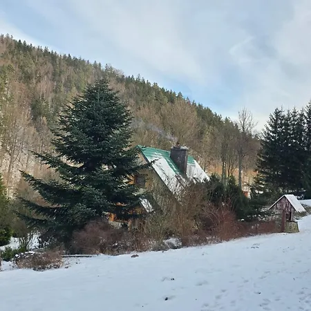 Nyaraló Dom W Gorach Sowich Niedzwiedzia Gawra, *