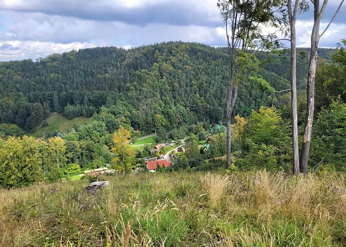 Dom W Gorach Sowich Niedzwiedzia Gawra, Prázdninový dům Michalkowa