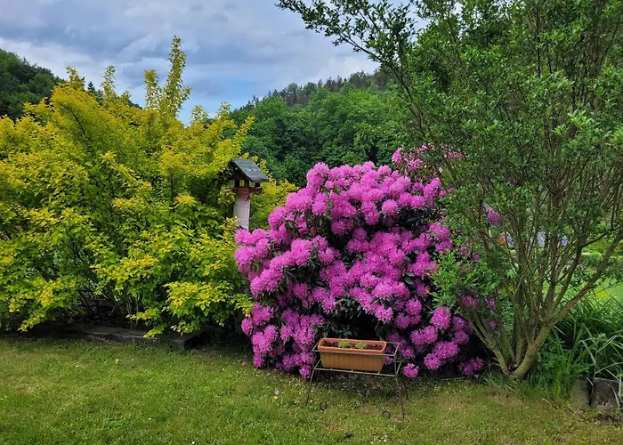 Dom W Gorach Sowich Niedzwiedzia Gawra, Prázdninový dům *