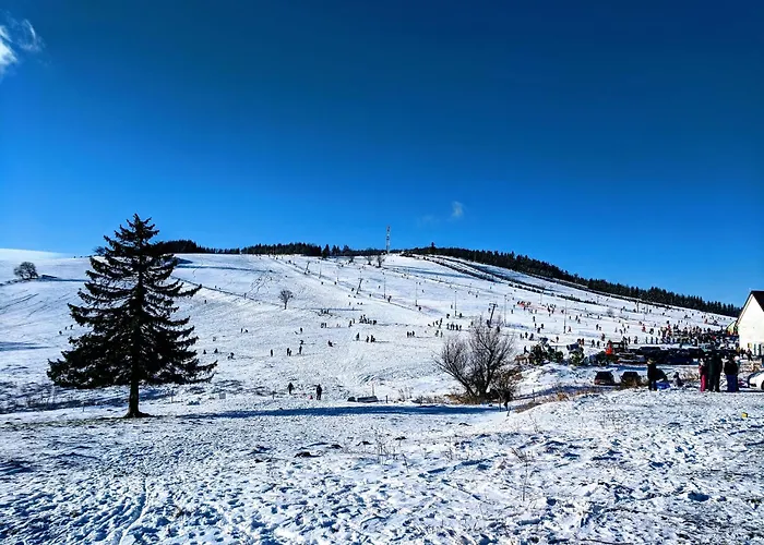 Prázdninový dům Dom W Gorach Sowich Niedzwiedzia Gawra, *