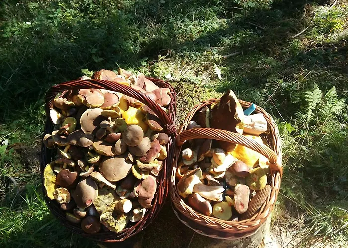 Dom W Gorach Sowich Niedzwiedzia Gawra, Michalkowa