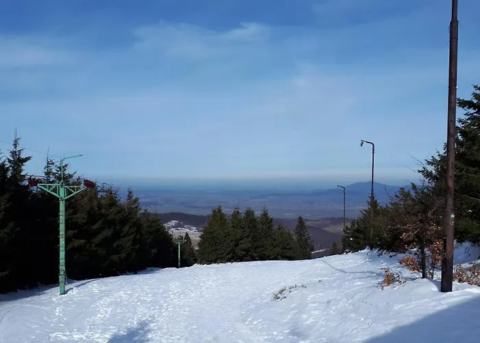 Dom W Gorach Sowich Niedzwiedzia Gawra, Prázdninový dům *