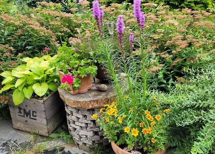 בית נופש Dom W Gorach Sowich Niedzwiedzia Gawra, Michalkowa