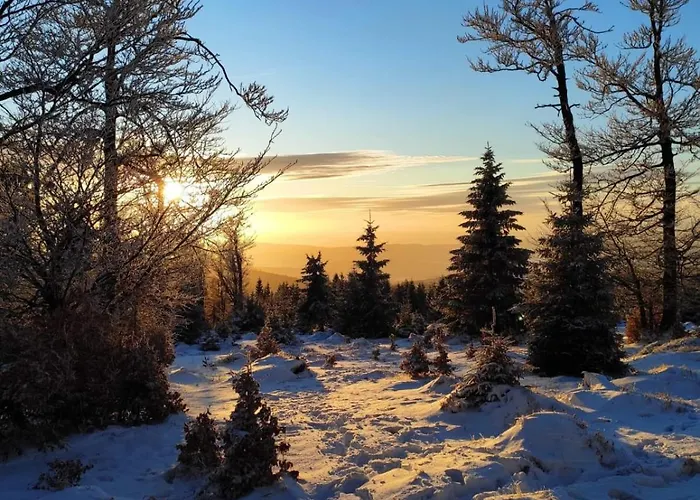 Dom W Gorach Sowich Niedzwiedzia Gawra, Prázdninový dům *