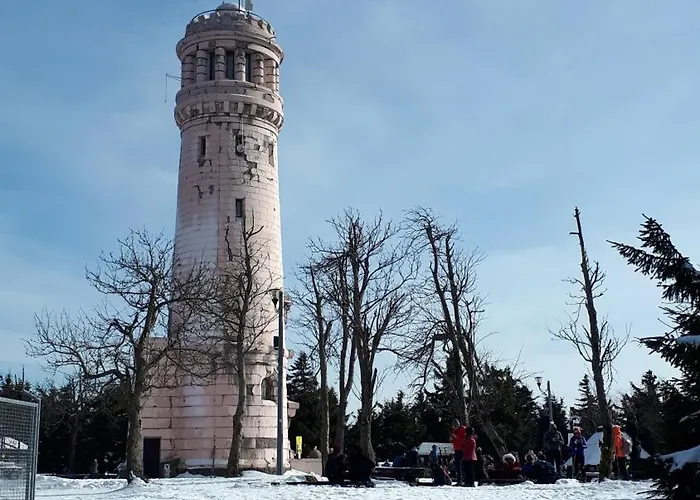 Dom W Gorach Sowich Niedzwiedzia Gawra, Prázdninový dům *