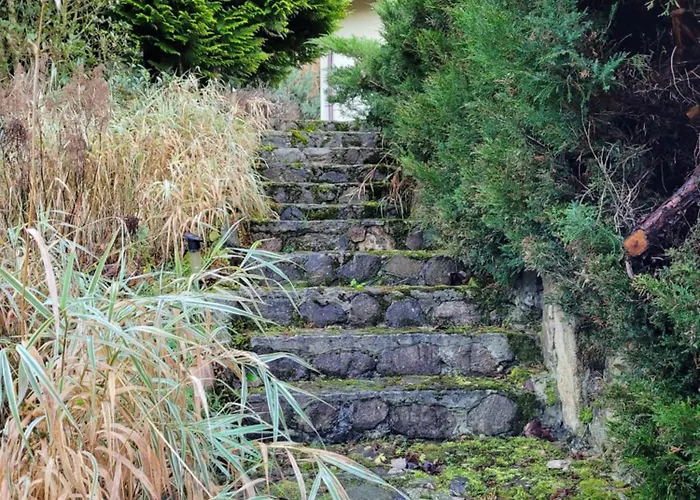 Dom W Gorach Sowich Niedzwiedzia Gawra, Prázdninový dům