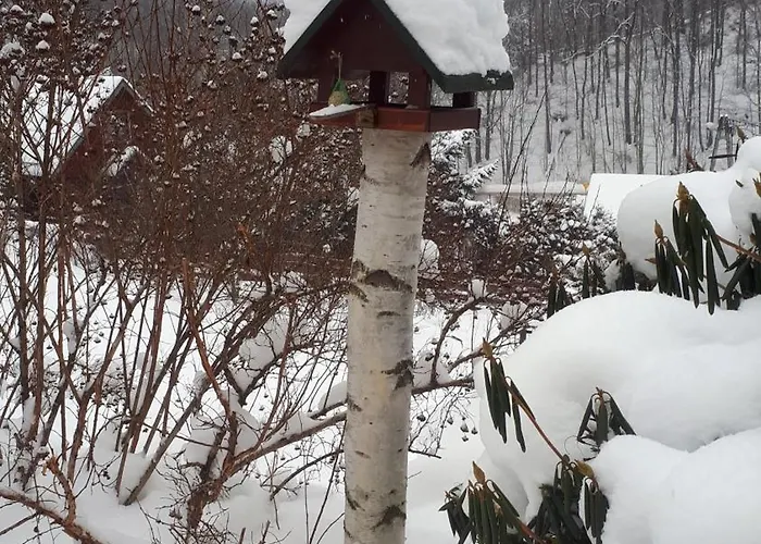 Dom W Gorach Sowich Niedzwiedzia Gawra,