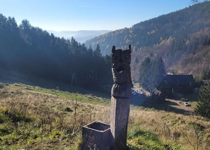 בית נופש Dom W Gorach Sowich Niedzwiedzia Gawra, Michalkowa