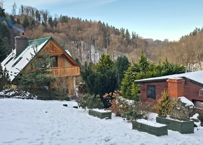 Dom W Gorach Sowich Niedzwiedzia Gawra, * Michalkowa